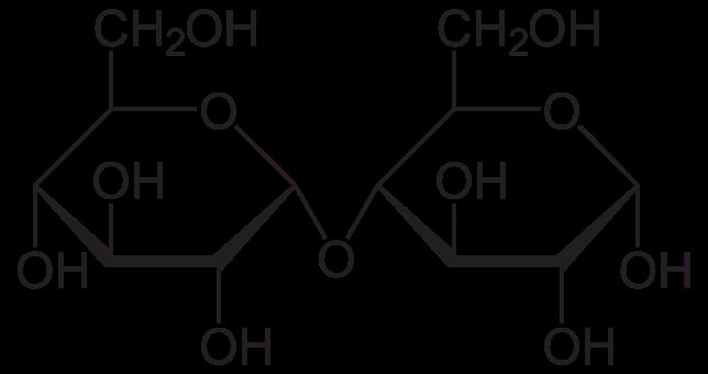 Disaccharides Maltose (from