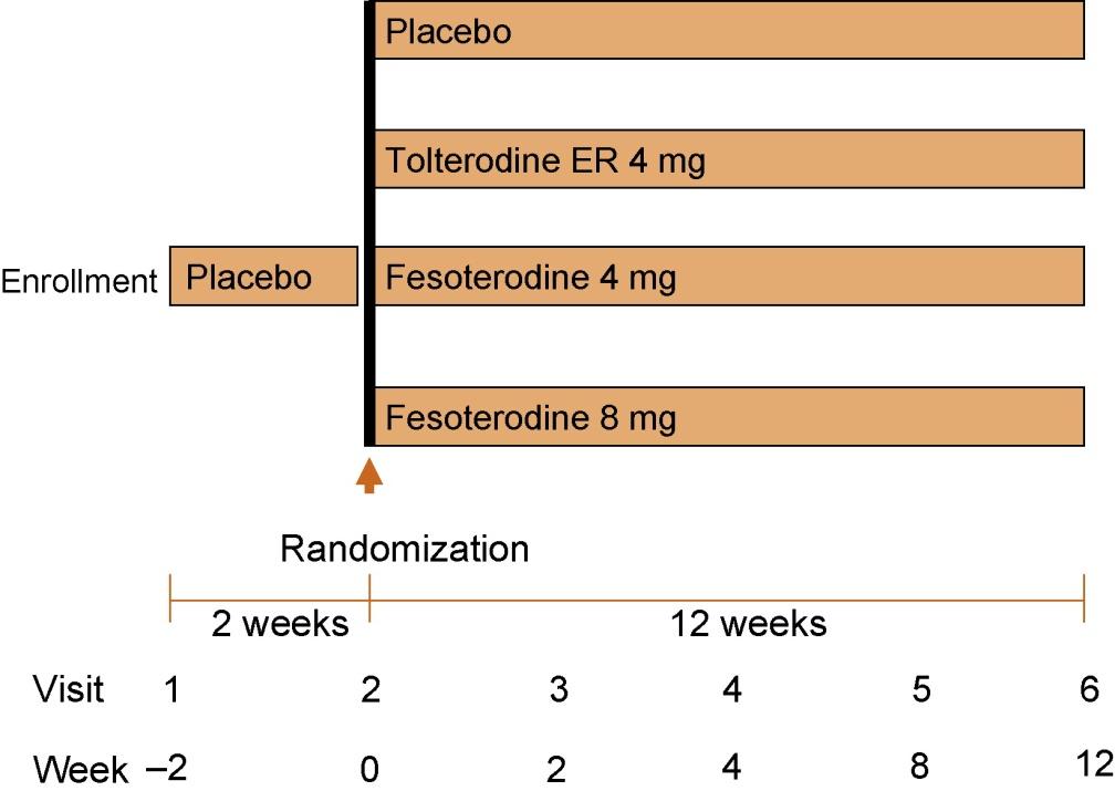 Clinical efficacy, safety and tolerability of once-daily Fesoterodine in subjects with overactive bladder 12 week