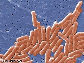 Bacteria are single-celled, are the leading cause of foodborne illness.