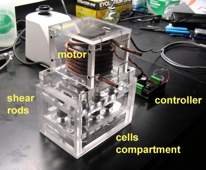 The UV-sterilized and fully assembled (Figure 1) device, with cultured EC inside, was operated in a humidified, 37 o C, and 5% CO 2 air mixture incubator.