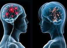 Is there a difference between male and female brains?