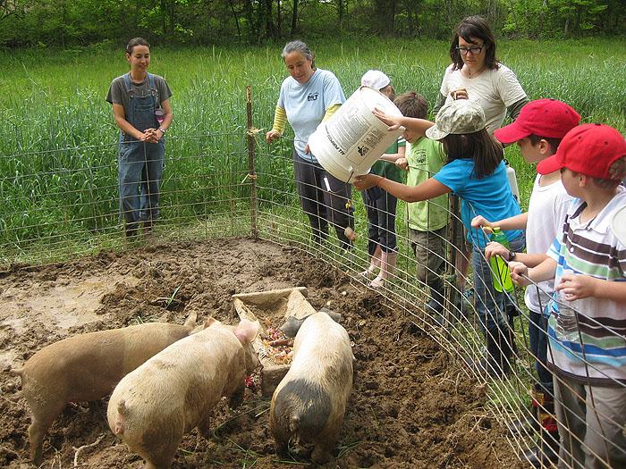How Is H3N2v Transmitted To People Most commonly, human infections of variant viruses occur in people with exposure to infected pigs (e.g. children near pigs at a fair or workers in the swine industry).