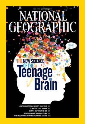 Adolescent brain changes underlie many typical teen behaviors Teenage brains. Beautiful brains. Moody. Impulsive. Maddening. Why do teenagers act the way they do?