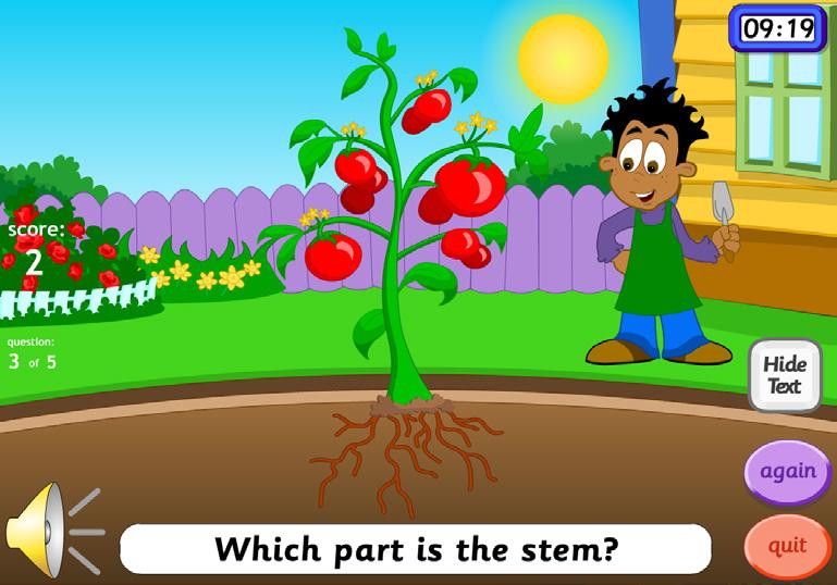 THINKITS: Pre-K Grade 2 Grades 3-6 Discuss what your students think is the difference between a fruit and vegetable.