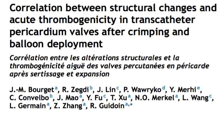 Bourget et al Correlation between structural changes and acute