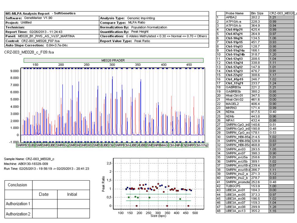 b Slika 11b. Normalan rezultat metilacijskog status NDN i SNRPN gena(salsa MLPA ME028 Prader Willi/Angelman probemix).