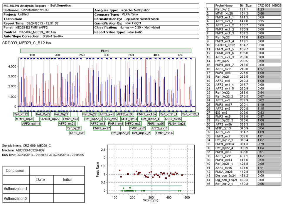 b Slika 13b. Normalni metilacijski status promotora FMR1 i AFF2 gena (SALSA MLPA ME029 FMR1/AFF2 probemix). 4.5.