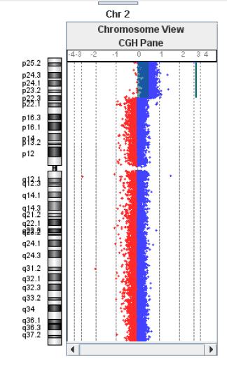 a b Chr Cytoband Start Stop Amplification Deletion Gene Names FAM110C, SH3YL1, ACP1, FAM150B, TMEM18, LOC339822, SNTG2, TPO, PXDN, MYT1L, LOC730811, TSSC1, TTC15, ADI1, RNASEH1, RPS7, COLEC11, ALLC,