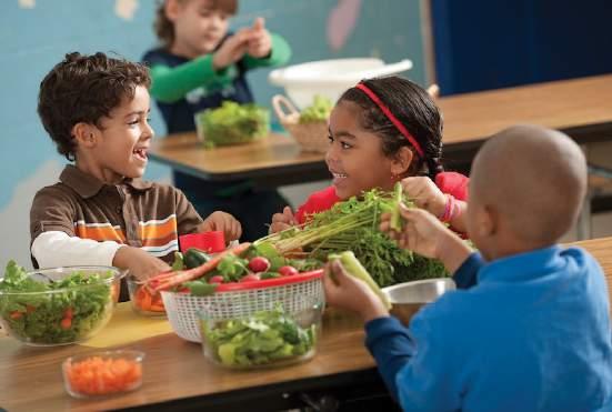 The Coalition for Healthy School Food is seeking an investment by the federal government in a cost-shared Universal Healthy School Food Program that will enable all students in Canada to have access