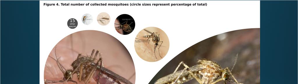 4/25/2017 21 species collected: Culex salinarius Aedes cinereus Culiseta (Culiseta) inornata Aedimorphus vexans vexans Hulecoeteomyia japonica japonica