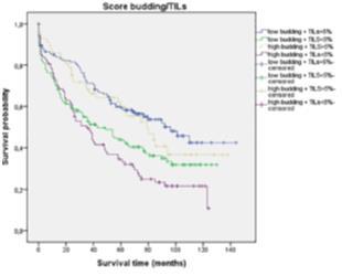 Evaluation of tumor budding on H&E slides in pt3/4 colon cancer goes along with a considerable interobserver variability among investigators of different levels of