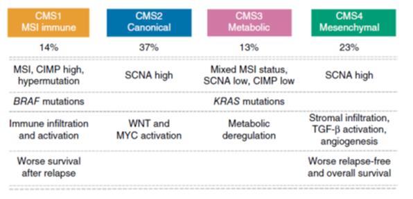 al, Br J Cancer 2017 TUMOUR BUDDING AND THE CMS CLASSIFICATION 2015 MULTICENTRIC