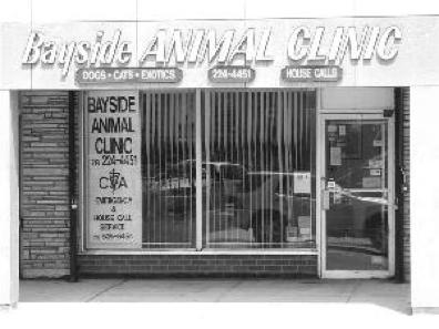 Animal investigation Mid-June 99- Bayside