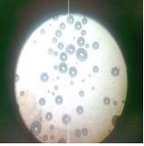 Rozuvastatin Loaded SEDDS for Hypolipidemia Figure 1 Photograph of formulation (F5) of SEDDS of rosuvastatin under optical microscope Table 2 Assessment of self emulsification for various SEDDS