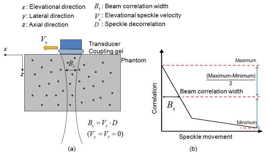 Figure 3-3. (a) The definition of directions, beam correlation width, elevational speckle velocity and speckle decorrelation in the phantom.