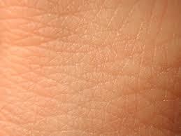 Skin Facts Largest organ of the body : 10-15% of body weight Naturally acidic ph (4.2-5.