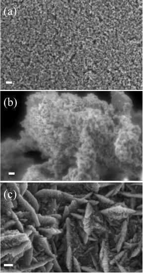 1. Morphological characterization of photoanodes Figure S 1. Scanning electron images of (a) TiO 2 nanoparticles and (b) ZnO hierarchical structures applied as photoanodes.
