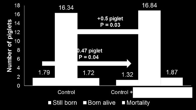 total livability. It is interesting to see that some farms report the main improvement as less still-borns, while others observe the main effect on postfarrowing piglet mortality.