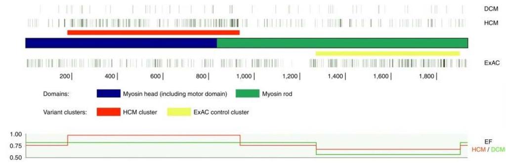 ACMG framework variant interpretation Know thy genes: Using protein domain knowledge to improve