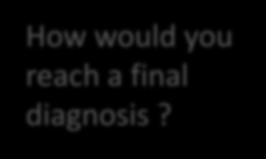 Hemangiosarcoma Rhabdomyosarcoma Chemodectoma Aortic body tumour
