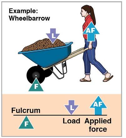 wheelbarrow Force farther from fulcrum than the load Small force moves large