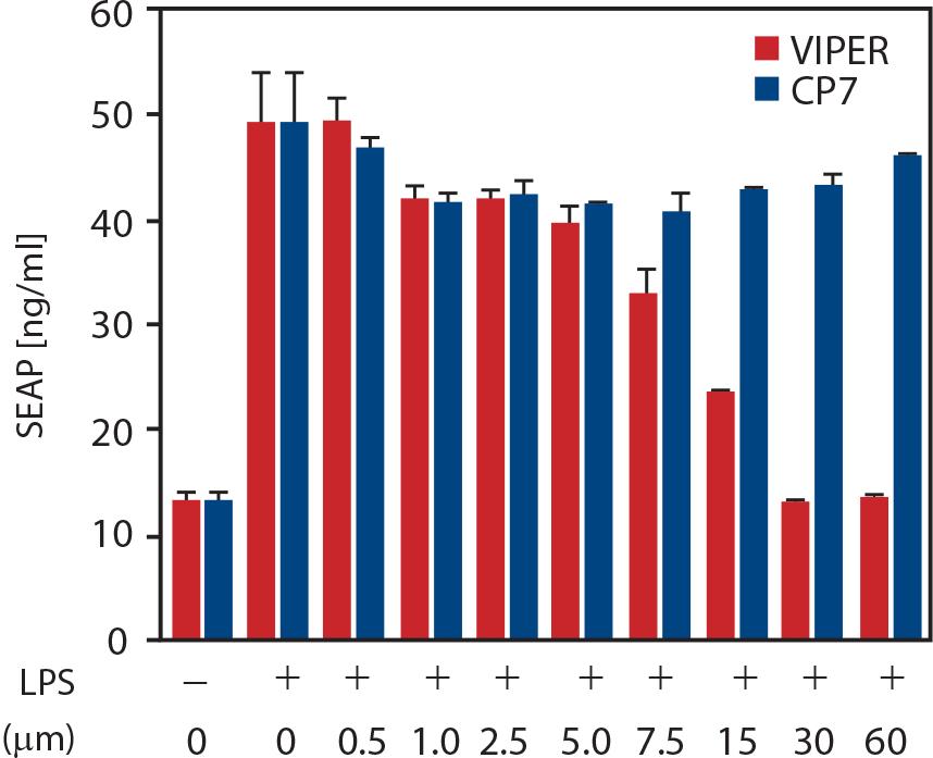 VIPER Inhibits LPS Activation of TLR4 Reporter Cell Line TLR4/MD2/CD14/ NF-kB SEAP (NBP2-26503) Pretreatment Peptides, 1 h (NBP2-26244) Peptide