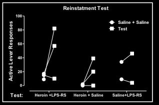 5µg per side) or saline on active lever responses during reinstatement tests in which saline or heroin was administered systemically 15 min before the session.