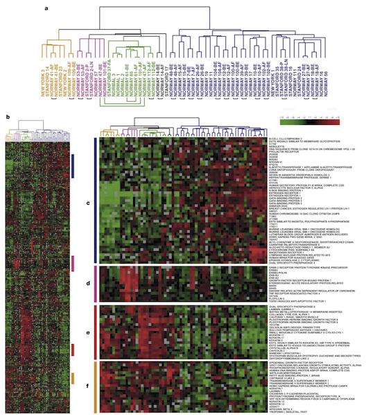 Gene expression profiles of breast cancer Tumor specimens Genes