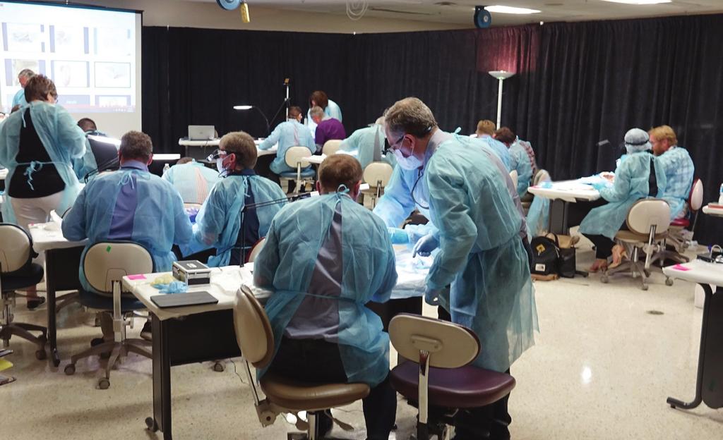 LSU SCHOOL OF DENTISTRY 2018-2019 LSU s Commitment to Orofacial Pain Education The widespread condition known as orofacial pain often has a devastating impact on a patient s quality of life.