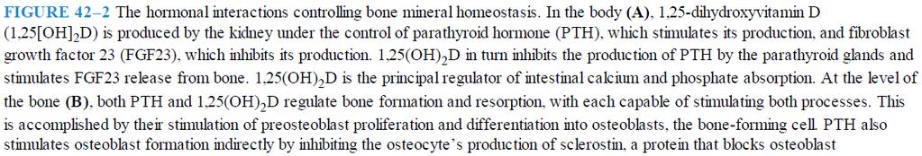 PTH also stimulates osteoblast formation indirectly by inhibiting osteocyte s production of sclerostin which blocks osteoblast proliferation.