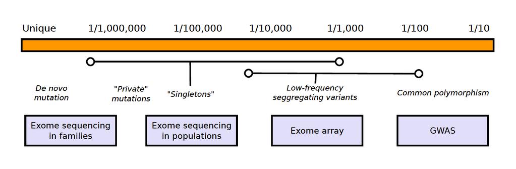 Frequency spectrum of disease alleles For complex polygenic disease, working assump?