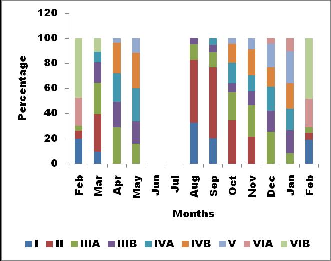 Fig. 2: Monthly variation in the maturity stages in female of L. savala along Ratnagiri coast.