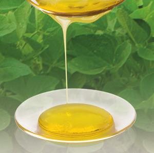 40%) in organic sunflower oil PHOSAL 75 SA Soybean phosphatidylcholine (72-78%) in ethanol and safflower oil Glycerophosphocholine (Choline Alfoscerate) LIPOID PPL PPL Products LIPOID PPL