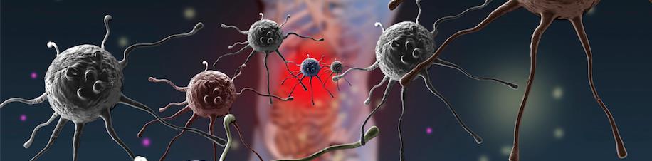 SCOPE OF LECTURE Impact of ageing on the immune system What does EFSA say about