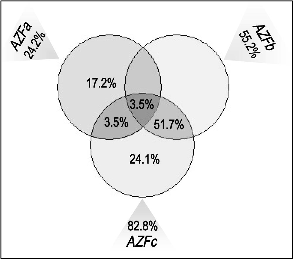 592 Journal of Andrology July/August 2003 Figure 3. Vendiagram showing Y chromosome deletion in AZF regions. The AZFa region was involved in a total of 24.2%, of which AZFa alone was involved in 17.