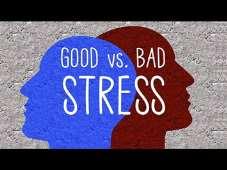 Stress and Self Care Learn about stress and how it impacts the body and the mind.