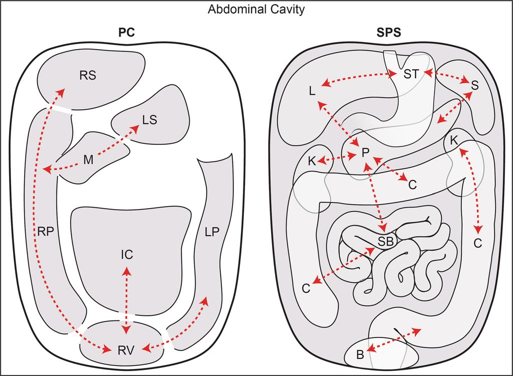 H. K. Pannu, M. Oliphant: The subperitoneal space and peritoneal cavity 2711 Table 1.