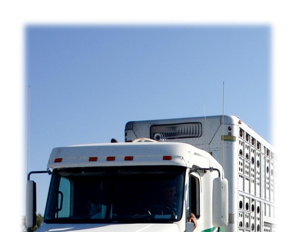 2. Vehicle and transportation biosecurity Vehicles entering your farm from another infected farm can carry the virus