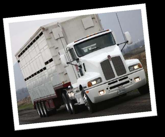 Prevention of PED - Transport Dedicated trucks 90%