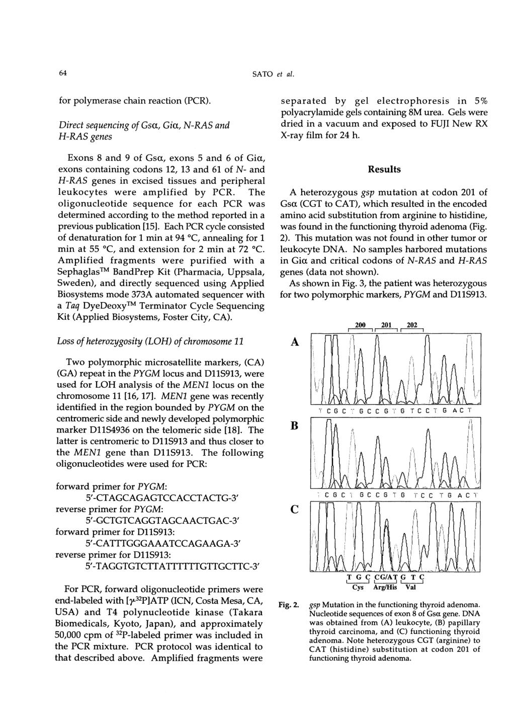 64 SATO et al. for polymerase chain reaction (PCR).