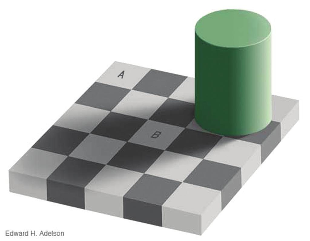 178 Sensation and Perception Edward H. Adelson FIGURE 6.29 Lightness Constancy In this illustration, we see a checkerboard being shaded by a peculiar cylinder.