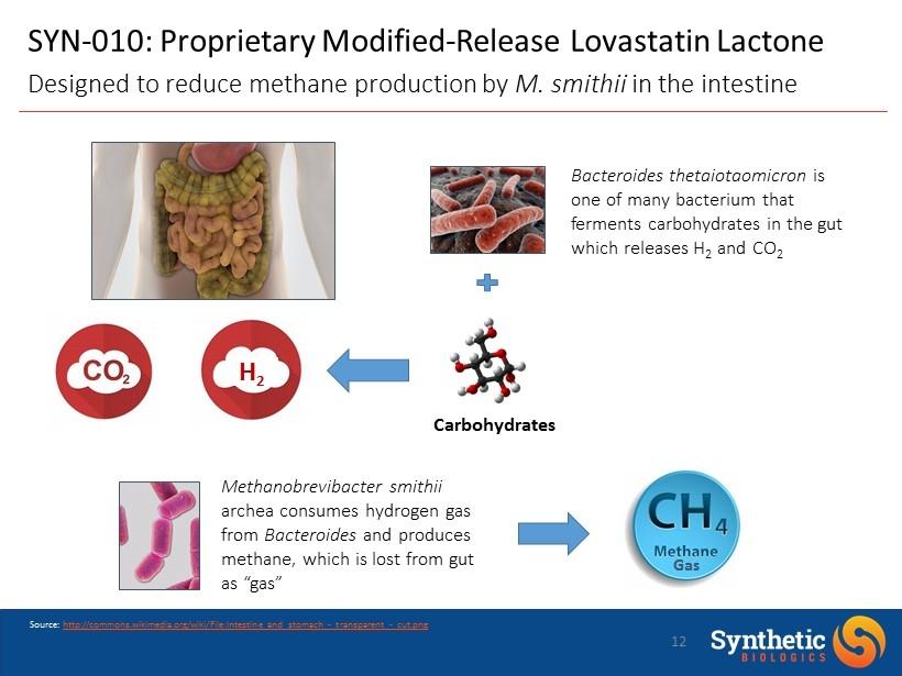 SYN - 010: Proprietary Modified - Release Lovastatin Lactone Designed to reduce methane production by M.