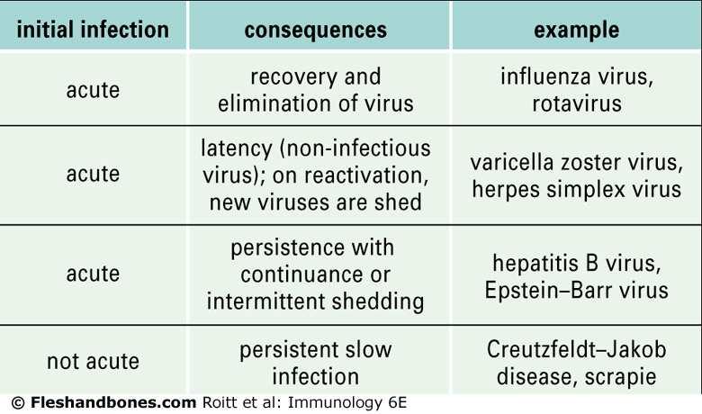 Virus infections can be acute or non-acute,