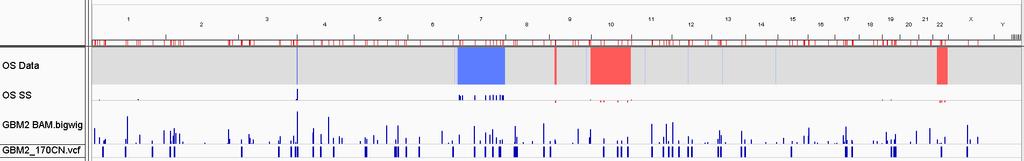 Comparison of GBM2 WGV Regions FGFR3 Chr 7 Chr 10 CDK4 Concordant Oncoscan Copy Number TST170 Copy Number TST170 Mutation and Fusions 3q(195.4-196.4)x3 TFRC Gain 4p(1.02-2.