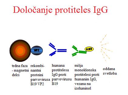 Slika 6: Prikaz določanja IgM protiteles z imunsko metodo kemiluminiscence (vir: gradivo proizvajalca, Diasorin, Saluggia, Italija).
