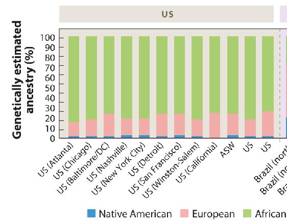 Genetic Diversity among African Americans >70% African Ancestry (West) <25% European Ancestry