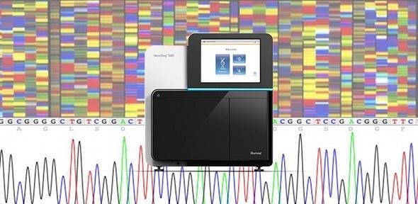 Viral Genomic Characterization Illumina MiSeq Next Generation Sequencer (NGS) Beaked whale circovirus (BWCV) was discovered