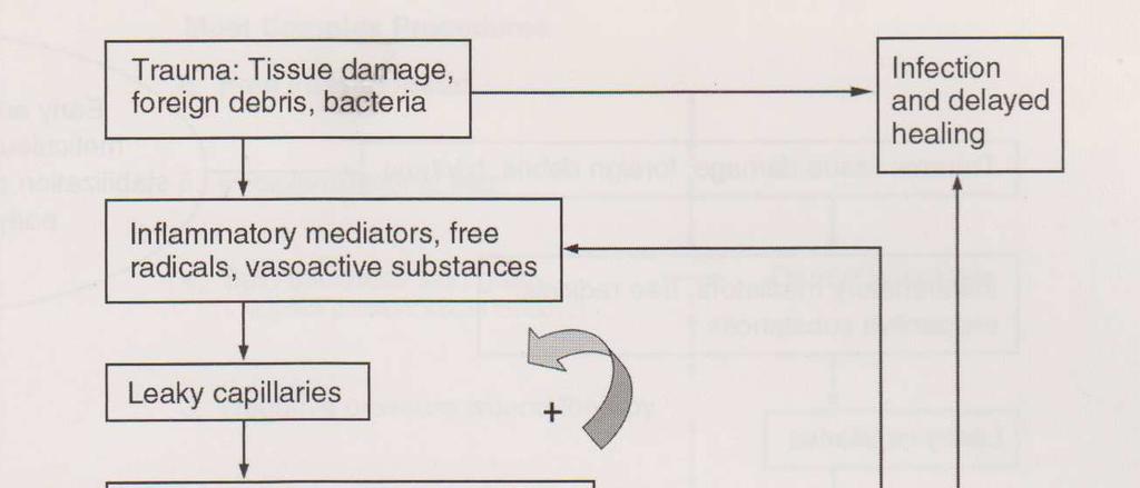 PRINCIPLES OF TISSUE MANAGEMENT. Debridement, Irrigation, Antibiotics, Timing of closure.