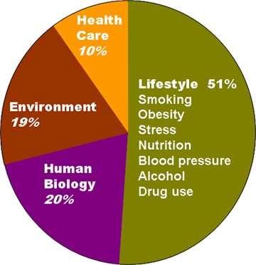Factors that Contribute to Mortality 4 Healthy People: The Surgeon