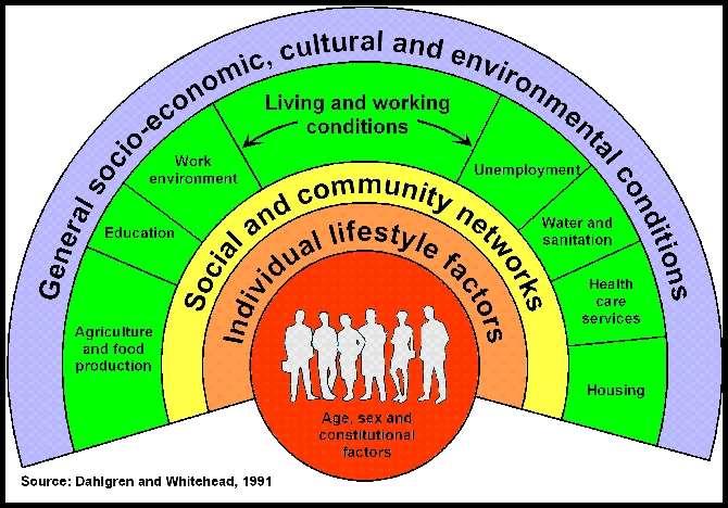 Social Determinants of Health Health starts where we live, learn, work and play ~ RWJF(2010) 9